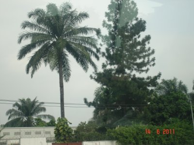 DSC06434.JPG
