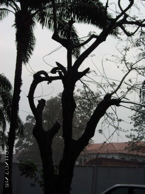 PICT0005.JPG