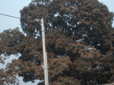 DSC00286.JPG