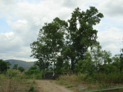 DSC02646.JPG