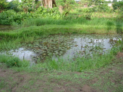 DSC03093.JPG