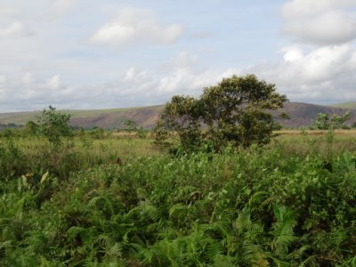 DSC03044.JPG