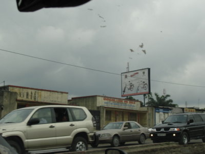 DSC02940.JPG