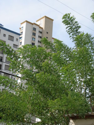 DSC03467.JPG