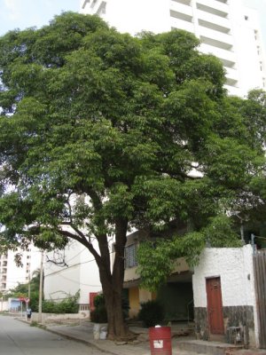 DSC03553.JPG