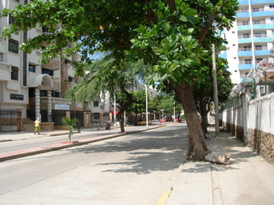 DSC03584.JPG