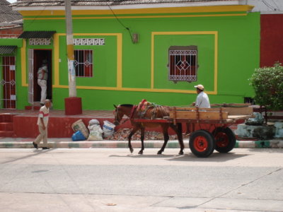 DSC03393.JPG