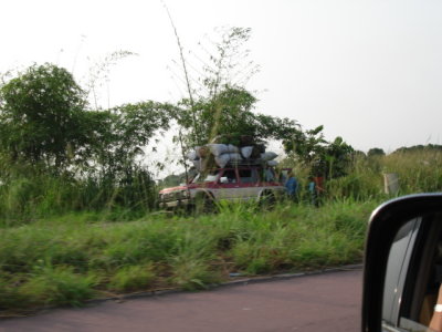 DSC04536.JPG