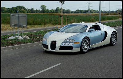 Bugatti Veyron Location 1.jpg