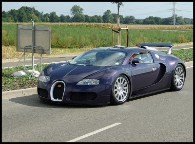 Bugatti Veyron 5.jpg