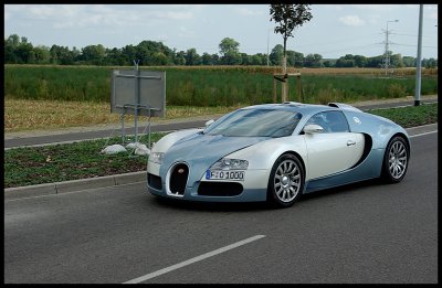 Bugatti Veyron 13.jpg