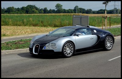 Bugatti Veyron 17.jpg