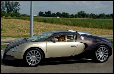 Bugatti Veyron Women 2.jpg