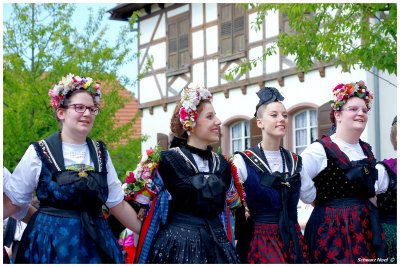 Dancing with a Queen in SEEBACH 
