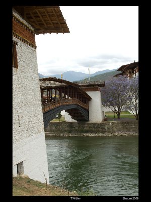Punakha Dzong bridge