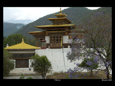 Punakha Dzong