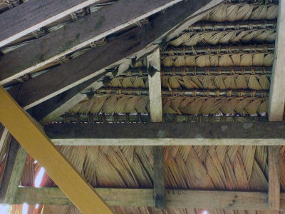 Bats in the eaves