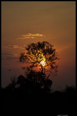 _M7V1200.4.jpg