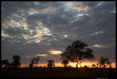 _MG_0780.4.jpg