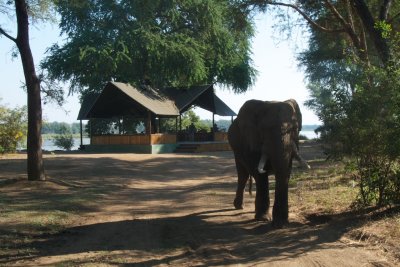 Lower Zambezi National Park