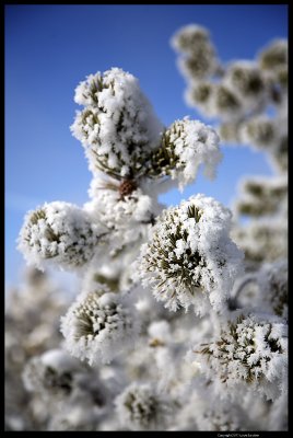 IMG_2868.4.jpg