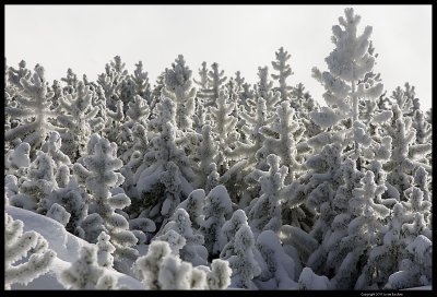 IMG_2880.4.jpg