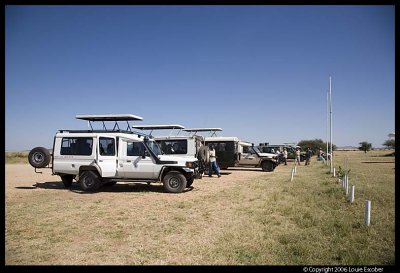 Serengeti_0941.3.jpg