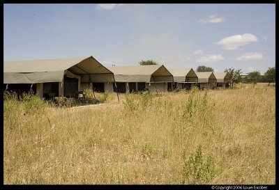 Serengeti_1336.3.jpg