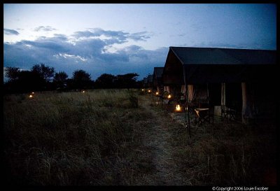 Serengeti_1426.3.jpg