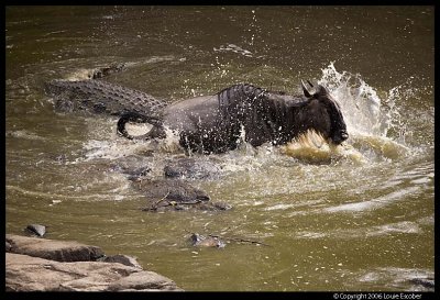 Serengeti_1812.3.jpg