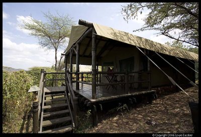 Serengeti_2014.3.jpg