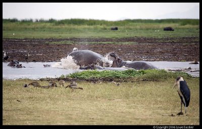 Manyara_2888.3.jpg