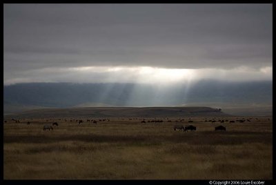 Ngorongoro_2452.3.jpg