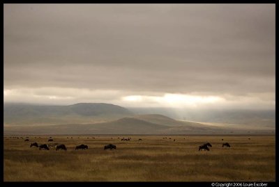 Ngorongoro_2458.3.jpg