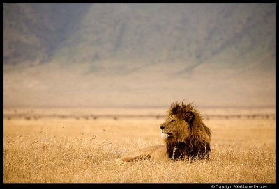 Ngorongoro_2474.3.jpg
