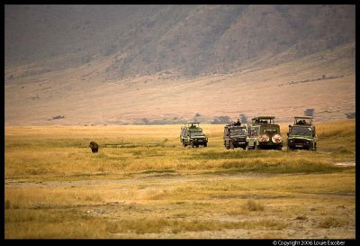 Ngorongoro_2551.3.jpg