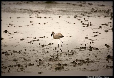 Ngorongoro_2601.3.jpg
