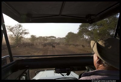 Serengeti National Park
