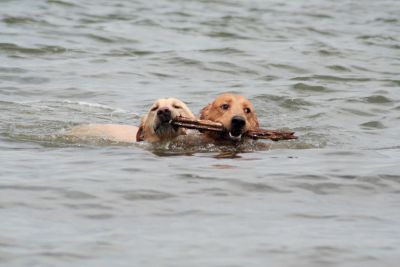 no it's my stick