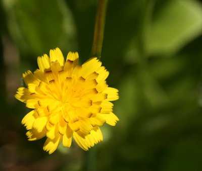 g4/67/34567/3/133381888.RDW9V4CF.jpg