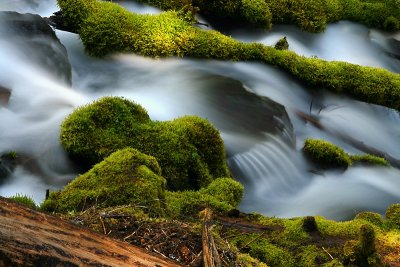 Oregon 2010 Gallery 3
