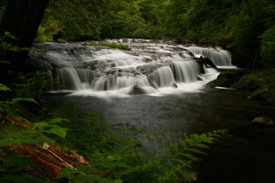 Elk Wallow