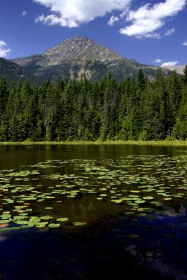 Johns Lake