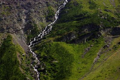IMG_6513q.jpg