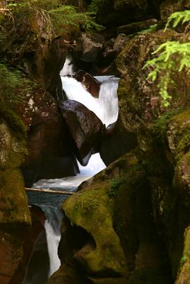 IMG_6710w.jpg