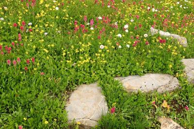 IMG_4471q.jpg