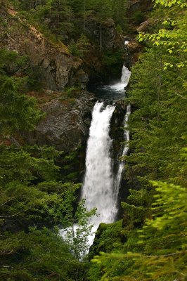 Hamma Hamma Falls