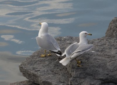 DSC_2030.jpg