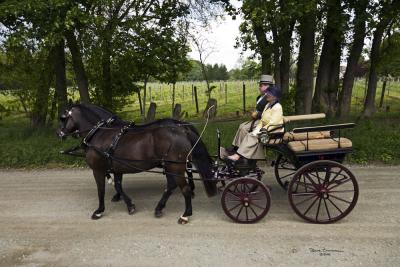 Carriage Parade at the Radnor Hunt Races