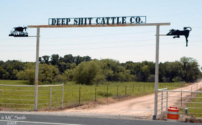Deep Shit Cattle Company